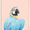 Blue Macaw Plakat (21x29.7 cm (A4))