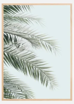 Blue Palms Plakat (21x29.7 cm (A4))