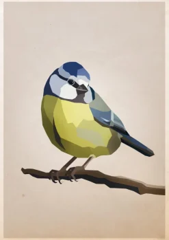 Blue tit Plakat (21x29.7 cm (A4))