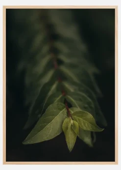 Blurry Branch Plakat (21x29.7 cm (A4))