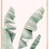 Blush Banana Leaves Plakat (21x29.7 cm (A4))
