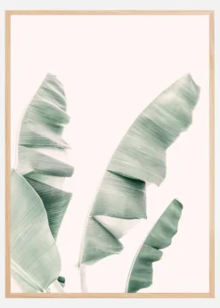 Blush Banana Leaves Plakat (21x29.7 cm (A4))