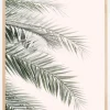 Blush Palm Leaves Plakat (21x29.7 cm (A4))