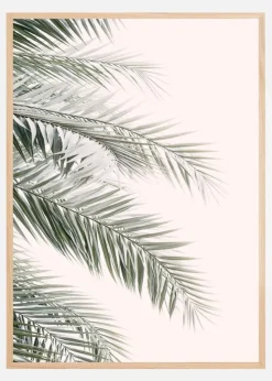 Blush Palm Leaves Plakat (21x29.7 cm (A4))