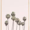 Blush Palms Plakat (21x29.7 cm (A4))