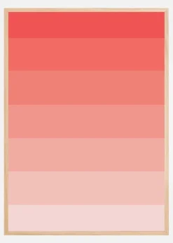 Blush Plakat (21x29.7 cm (A4))