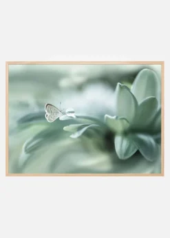 Bola ajaib Plakat (21x29.7 cm (A4))