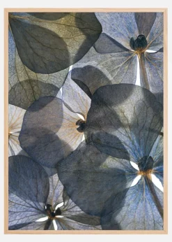 Botanical II Plakat (21x29.7 cm (A4))
