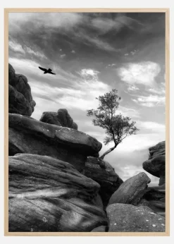 Brimham Plakat (21x29.7 cm (A4))