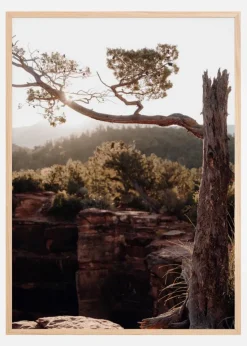 Broken Tree Plakat (21x29.7 cm (A4))