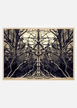 Brushwood Plakat (21x29.7 cm (A4))