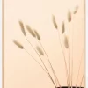 Bunny Grass I Plakat (21x29.7 cm (A4))