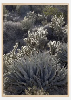 Cactus In Desert Plakat (21x29.7 cm (A4))