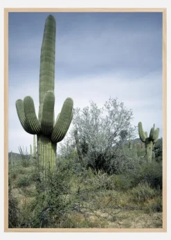 Cactus Land Plakat (21x29.7 cm (A4))