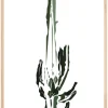 Cactus Plakat (21x29.7 cm (A4))