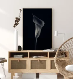 Calla Lily Plakat (21x29.7 cm (A4))