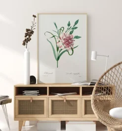 Carnation Plakat (21x29.7 cm (A4))