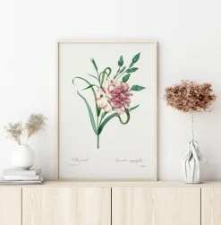 Carnation Plakat (21x29.7 cm (A4))