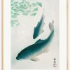 Carp Or Koi Plakat (21x29.7 cm (A4))