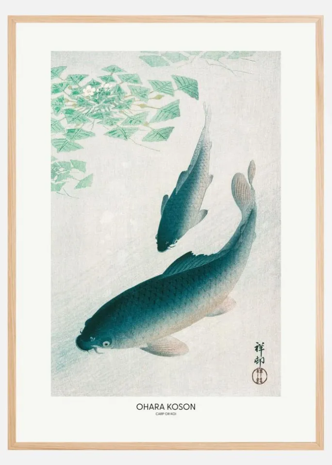 Carp Or Koi Plakat (21x29.7 cm (A4))