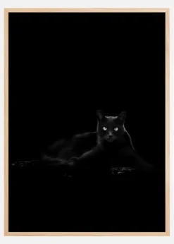 Cat Plakat (21x29.7 cm (A4))
