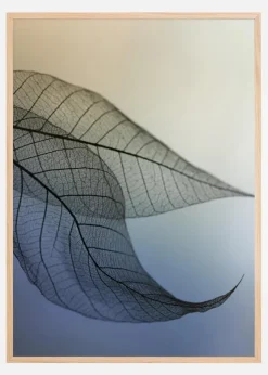 Cavatina Plakat (21x29.7 cm (A4))