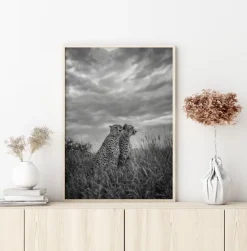 Cheetah Dreams Plakat (21x29.7 cm (A4))