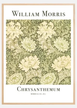 Chrysanthemum Plakat (21x29.7 cm (A4))