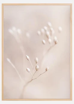 Close up Straw Plakat (21x29.7 cm (A4))