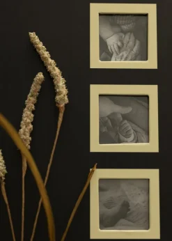 Collection Sort - 600 Billeder i 10x15 cm