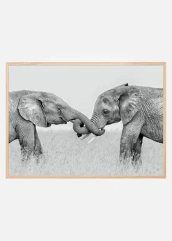 Confrontation Plakat (21x29.7 cm (A4))