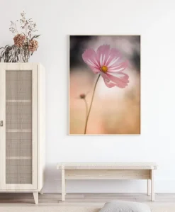 Cosmos Plakat (21x29.7 cm (A4))