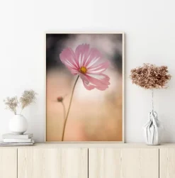 Cosmos Plakat (21x29.7 cm (A4))