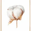 Cotton Flower Plakat (21x29.7 cm (A4))