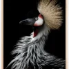 Crowned cranes portrait Plakat (21x29.7 cm (A4))