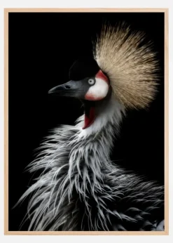 Crowned cranes portrait Plakat (21x29.7 cm (A4))