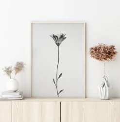 Daisy Plakat (21x29.7 cm (A4))