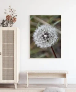 Dandelion Plakat (21x29.7 cm (A4))