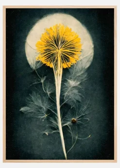 Dandelion Plakat (21x29.7 cm (A4))