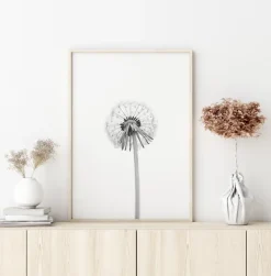 Dandelion Plakat (21x29.7 cm (A4))