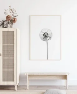 Dandelion Plakat (21x29.7 cm (A4))