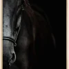 Dark Horse Plakat (21x29.7 cm (A4))