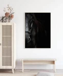 Dark Horse Plakat (21x29.7 cm (A4))