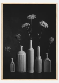 Daucus Carota Plakat (21x29.7 cm (A4))