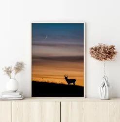 Deer In Sunset Plakat (21x29.7 cm (A4))