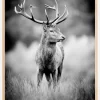 Deer With Horns Plakat (21x29.7 cm (A4))