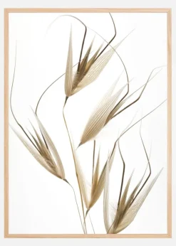 Delicacy of nature Plakat (21x29.7 cm (A4))