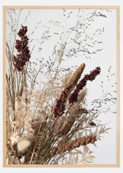 Dried 001 Plakat (21x29.7 cm (A4))