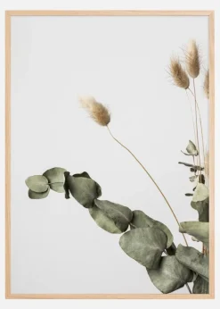 Dried 002 Plakat (21x29.7 cm (A4))