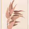 Dried Eucalyptus Plakat (21x29.7 cm (A4))